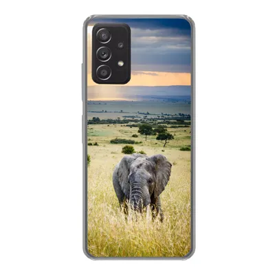 Produktbild von MuchoWow® Handyhülle Schutzhülle Hülle für Samsung galaxy a73 Elefant - Tiere - Landschaft - Sonne - Natur Silikon Softcase Handy Hülle - Handyhülle