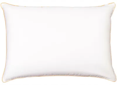 Image de PaemiHome Oreiller Plume et Duvet Naturel Confort Tout-Saison 50x70