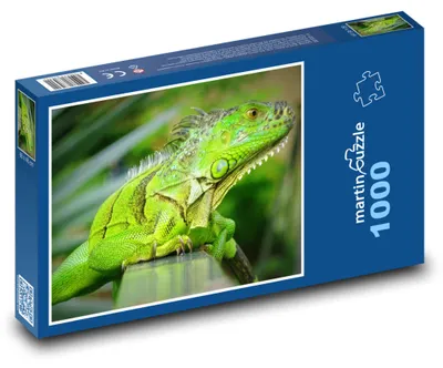 Zdjęcie produktu dla martinpuzzle - Puzzle 1000 elementów - "Chameleón"