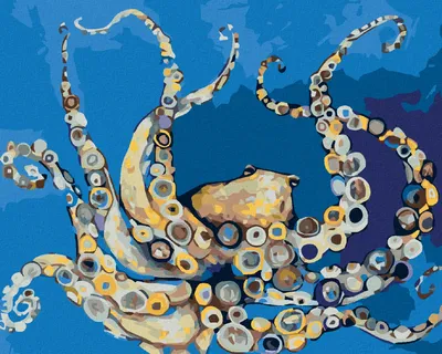 Obrázok produktu pre Zuty - Maľovanie podľa čísel - FAREBNÁ CHOBOTNICA, 40x50 cm, vypnuté plátno na rám