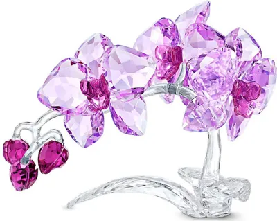 Obrázok produktu pre Swarovski CRYSTAL FLOWERS ORCHID 5520373 Neuheit 2021