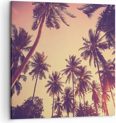 Produktbild von Bild auf Leinwand - Leinwandbild - Einteilig - Palmen Himmel Sonne - 50x50cm - Wand Bild - Wanddeko - Wandbilder - Leinwanddruck - Bilder - Wanddekoration - Leinwand bilder - Wandbild - AC50x50-4220