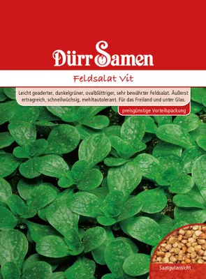 Artikelbild 1 von 'Feldsalat Vit Vorteilspackung' aus der Kategorie Salatsamen