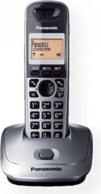 Immagine prodotto di Panasonic KX-TG2511 Telefono DECT ID chiamante Grigio
