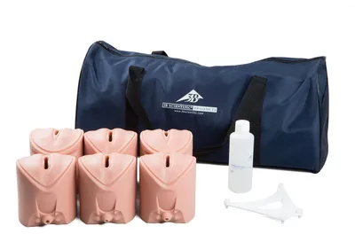 Geburtsstadien-Trainer, 6 Einsätze, realistische Anatomie