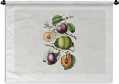 Produktbild von MuchoWow® Wandteppich Wandbehang Obst - Jahrgang - Pfirsich 60x45 cm Tapisserie Dekoration Wandtuch - Das Schlafzimmer