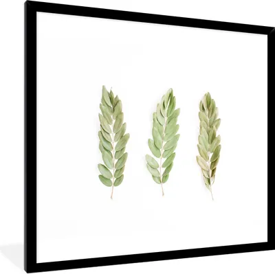 Produktbild von MuchoWow® Gerahmtes Poster Tropisch - Blätter - Weiß 40x40 cm - Poster mit Schwarzem Bilderrahmen Wandposter Rahmen Foto Bilder - Mit Rahmen - Wanddekoration Schlafzimmer