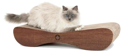 Produktbild von CanadianCat Satellite 2.0, Katzenkratzbett, Freistehend, Braun, Karton, Karton, 760 mm