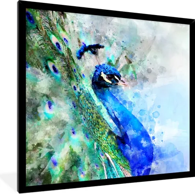 Produktbild von MuchoWow® Gerahmtes Poster Aquarell - Pfau - Blau 40x40 cm - Poster mit Schwarzem Bilderrahmen Wandposter Rahmen Foto Bilder - Mit Rahmen - Wanddekoration Schlafzimmer