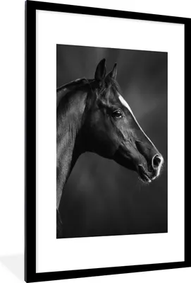 Produktbild von MuchoWow® Gerahmtes Poster Pferd - Tiere - Schwarz - Weiß - Porträt 60x90 cm - Poster mit Schwarzem Bilderrahmen Wandposter Rahmen Foto Bilder - Dekoration - Wandposter Wohnzimmer - Hochwertig