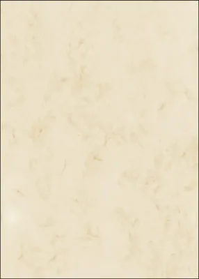 Produktbild von Folia Fotokarton 300g 70x100 10 Bogen beige