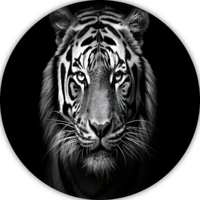 Imagen del producto de Decoración de pared en forma de tigre