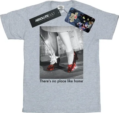 Produktbild von The Wizard Of Oz - T-Shirt für Herren BI52327 (M) (Grau)
