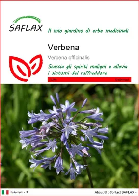 Immagine prodotto di SAFLAX  - Verbena - 250 semi - Verbena