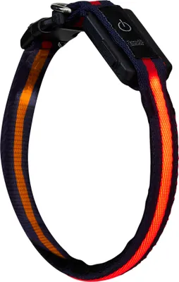Produktbild von LED Hundehalsband in Größe XS in Schwarz Rot mit Akku und Blinkfunktion 3-6 Std
