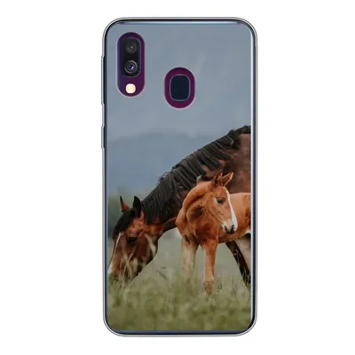 Produktbild von MuchoWow® Handyhülle Schutzhülle Hülle für Samsung Galaxy A40 Pferde - Fohlen - Natur Silikon Softcase Handy Hülle - Handy-Tasche