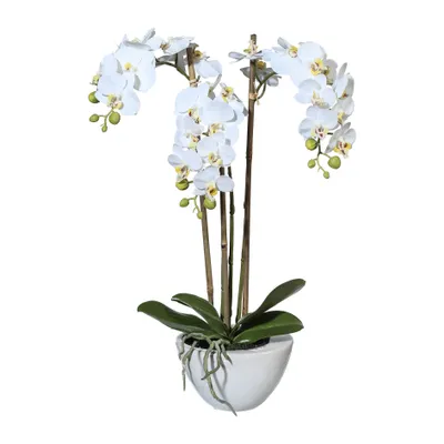 Produktbild von Kunstpflanze Miniphalenopsis Höhe: 51 cm weiß