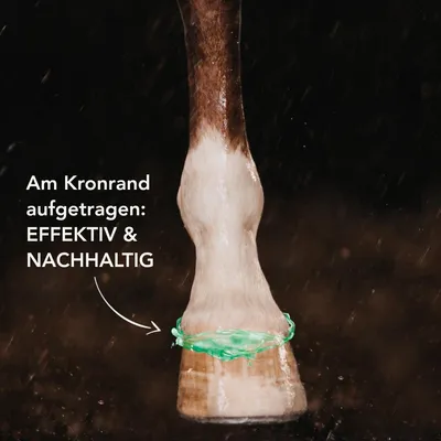Productafbeelding van St. Hippolyt Ungulat Hoefzalf | 450 ml