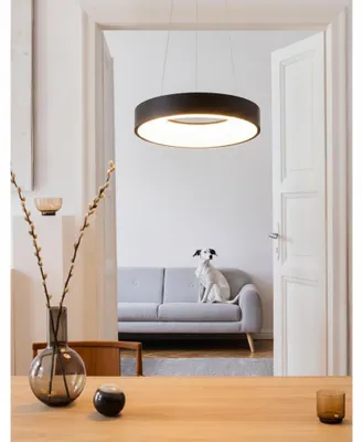 Productafbeelding van Hanglamp Rando Thin zwart Ø 38cm, AI-gegenereerde afbeelding