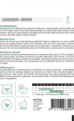 Produktbild von Erdbeerspinat | Spinatsamen von Hortitops