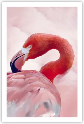 Produktbild von Poster - Poster ohne Rahmen - Flamingo Vogel Porträt - 61x91,5 cm - Wand Bild - Wanddeko - Wandbilder - Kunstposter - Wandposter - Bilder - Kunstdruck - Wanddekoration - Wandbild - P2XPA61x91-4984