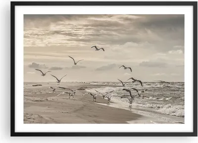 Produktbild von Gerahmtes Poster - Schwarzer Rahmen - Möwen Küste Boho - 70x50 cm - Wand Bild - Wanddeko - Wandbilder - Kunstposter - Wandposter - Bilderrahmen - Bilder - Kunstdruck - Wanddekoration - P2BAA70x50-4723