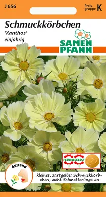 Artikelbild 1 von 'Cosmea Xanthos' aus der Kategorie Cosmeasamen
