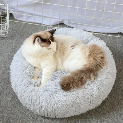 Produktbild von Katzenbett, Kissen, flauschig, weich, waschbar für Katzen und Hunde, weiche Haustiermatte, Haustierbett (Hellgrau, 40 cm)