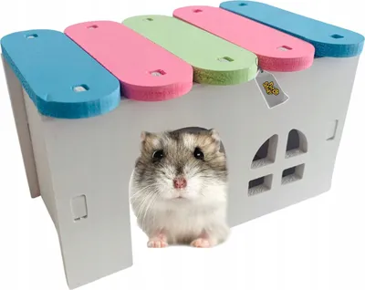Produktbild von PETSTORY Hamsterhaus PVC 12x6,5x7 cm, Leicht Reinigen