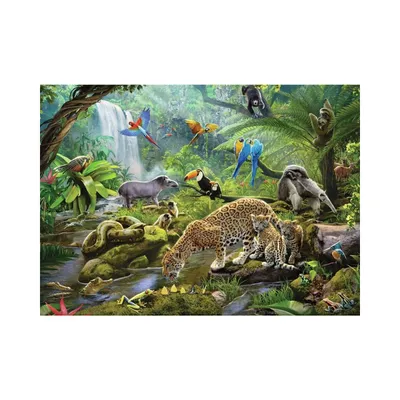 Productafbeelding van Ravensburger Regenwoud Dieren, 60 stukjes, Dieren, geschikt voor kinderen vanaf 4 jaar