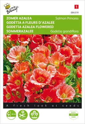 Produktbild von Sommerazalee Salmon Princess | Azaleensamen von Buzzy Seeds