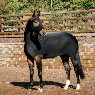 Produktbild von Horseware Rambo Slinky  - Black