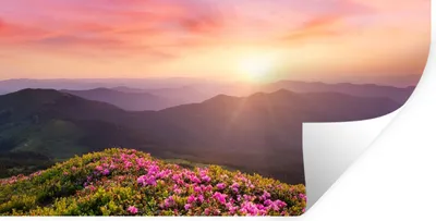 Produktbild von MuchoWow® Wandtattoo Wandsticker Wandaufkleber Blumen - Berg - Sonnenuntergang - Landschaft 120x60 cm Selbstklebend und Repositionierbar - Sticker - Dekorfolie