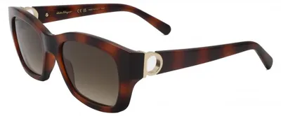 Produktbild von Ferragamo SF1012S Tortoise 53/19/140 Damen Sonnenbrillen