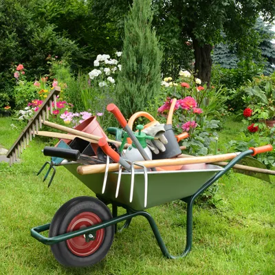 Produktbild von Schubkarrenrad 4.80 4.00-8 - Gummi - Stahlfelge - mit Achse - pannensicher - 120 kg - schwarz-rot