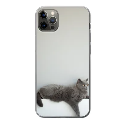 Produktbild von MuchoWow® Handyhülle Schutzhülle Hülle für iPhone 12 Pro Max Katze - Britisch Kurzhaar - Grau - Mädchen - Kinder - Jungen - Kinder Silikon Softcase Handy Hülle - Hartschale