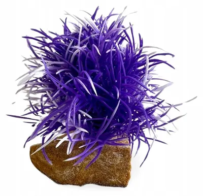 Produktbild von Aquarium Pflanzen Künstlich, 7 cm Kuenstliche 7 cm mit Natursteingewicht