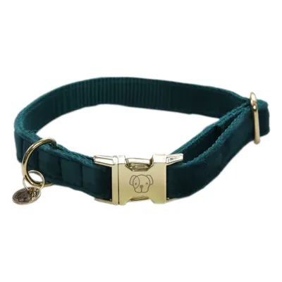 Zdjęcie produktu dla Kentucky Dogwear Aksamitna obroża dla psa Obroża dla psa