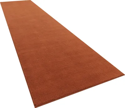 Produktbild von Moderner Wohnzimmer Teppich Kurzflor Waschbar Weich Felloptik Anti-Rutsch Grösse 60x100 cm