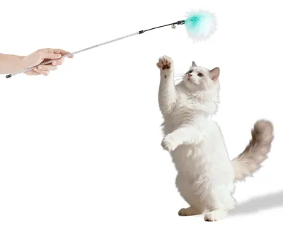 Produktbild von Katzenwedel mit Federkopf · animierendes Katzenspielzeug · 74 cm · hellblau