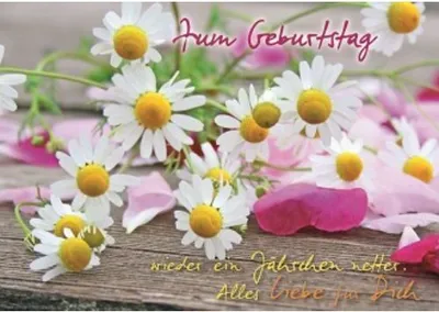 Produktbild von Gänseblümchen - Postkarte im Format 10,5 x 14,8 cm - Zum Geburtstag