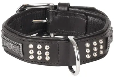 Produktbild von Hundehalsband aus Leder mit schwarzen Verzierungen, Größe 26-31 cm