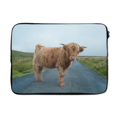 Produktbild von MuchoWow® Laptop Hülle 13 Zoll Scottish Highlander - Straße - Gras Laptoptasche - Laptophülle - Sleeve - Rundumschutz