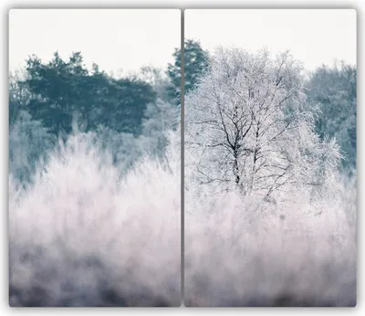 Produktbild von Tulup Glas-Herdabdeckplatte - 2x30x52cm - Glaskeramikkochfeld-Abdeckung Spritzschutz Zweiteilig Winter Bäume