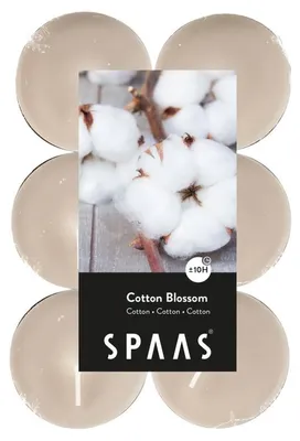 Produktbild von Spaas maxi Teelichter - 12x - Baumwollblute - 10 Brennstunden