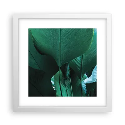 Produktbild von Gerahmtes Poster - Weißer Rahmen - Blätter Palmen Banane - 30x30 cm - Wand Bild - Wanddeko - Wandbilder - Kunstposter - Wandposter - Bilderrahmen - Bilder - Kunstdruck - P2WAC30x30-4694