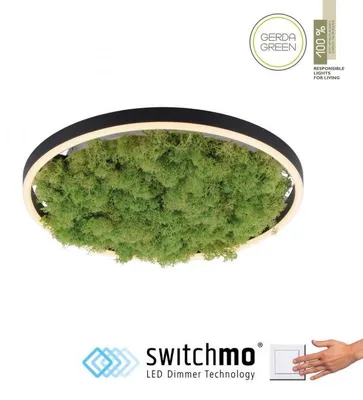 Obrázek produktu pro JUST LIGHT GERDA RITUS LED stropní svítidlo, teplá bílá, stmívatelné, 20 W, barva mechu, 15391-66