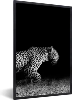 Produktbild von MuchoWow® Gerahmtes Poster Wildtiere - Leopard - Gras - Schwarz - Weiß 60x90 cm - Poster mit Schwarzem Bilderrahmen Wandposter Rahmen Foto Bilder - Kunst