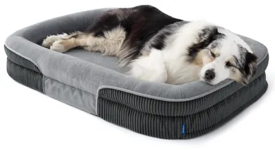Immagine prodotto di Cuccia ortopedica per cani, taglia XL, 114x81x18 cm, grigia, con imbottitura impermeabile e rivestimento in tessuto a coste
