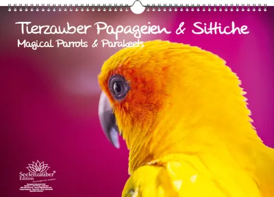 Produktbild von Papageienzauber Papageien und Sittiche DIN A3 Kalender - Immerwährender Kalender - Seelenzauber